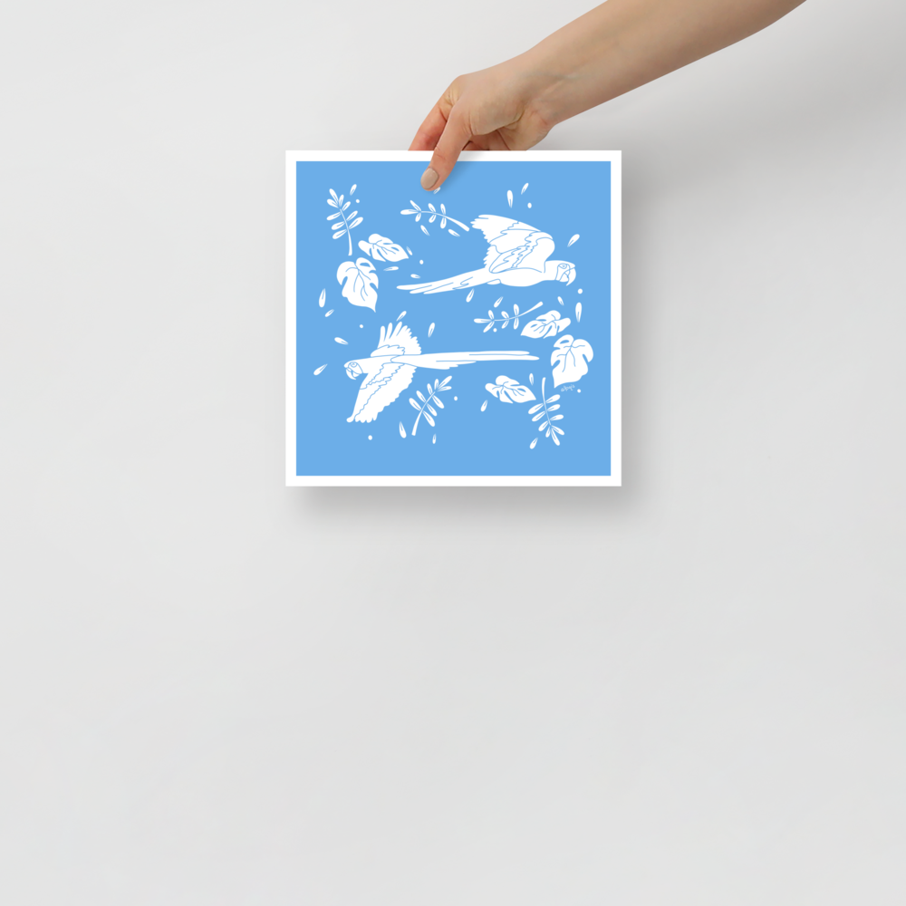 Parrots flying across two tones Poster