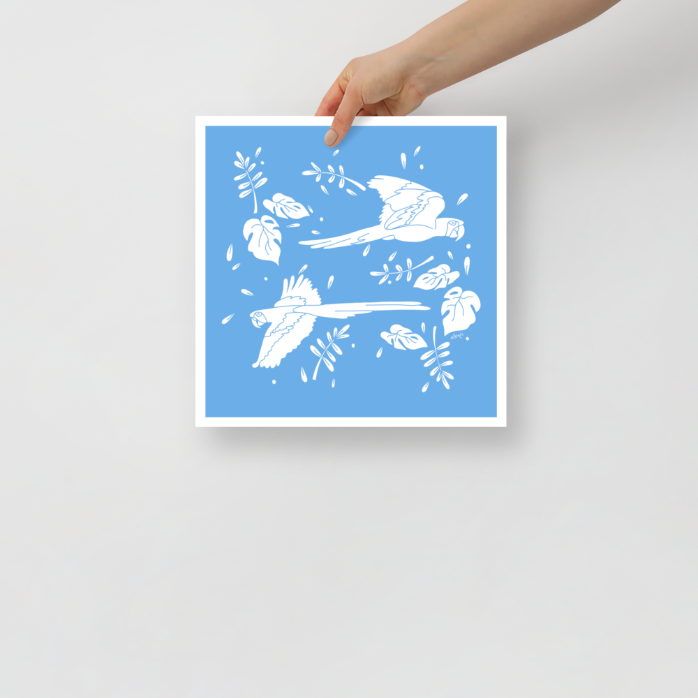 Parrots flying across two tones Poster